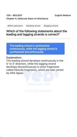 DNA Replication Leading vs Lagging Strand Explained