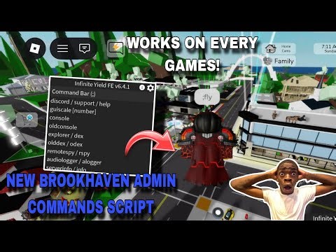 NEW Brookhaven Admin Commands Script | WORKS ON ALL GAMES! Fluxus,Hydrogen,Delta,Arceus X Mobile