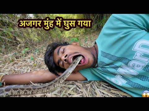 Ajgar muh me ghush gaya 😱 | Realistic AI Snake Attack VFX Video surajkushwaha 