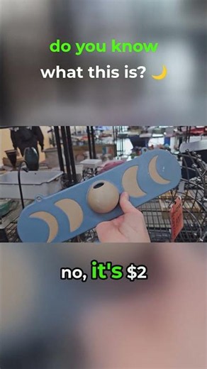 💸 $2 GOODWILL Mystery Find 👀💸To THRIFT WITH ME CLICK👉 @ThriftingVegas #goodwill #thrifting #moon