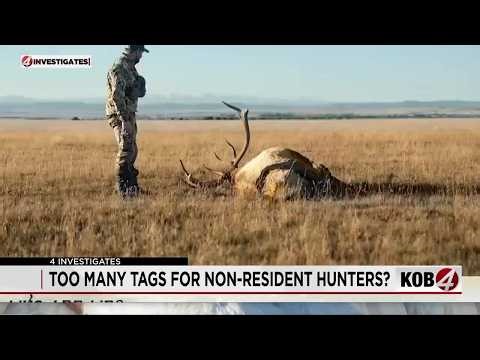 4 Investigates: Debate grows over New Mexico's Big Game Draw as change is on horizon