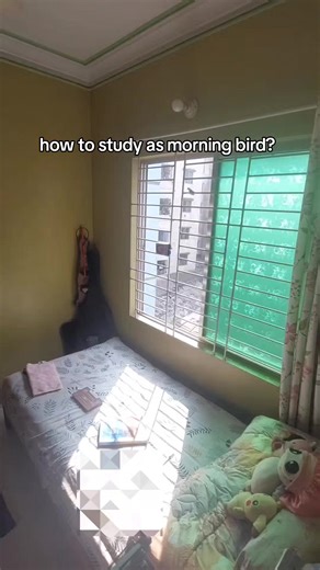 Effective Morning Study Routine for Students