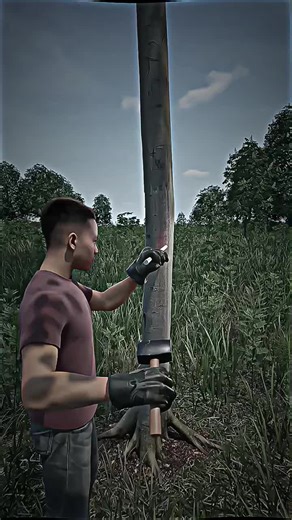 How Expensive Wood Is Made