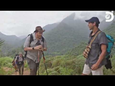 Josh Gates’ Most Incredible Adventures Lead to Unexpected Discoveries | Expedition Unknown S4 & S7