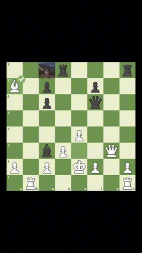 Brilliant checkmate!!