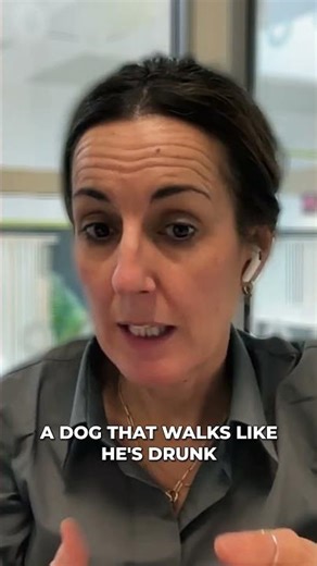 When It’s Neurological, Don’t Ignore the Signs 🧠🐾