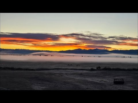 Freeze Warnings remain in effect; gradual warming trend with daily chances for moisture