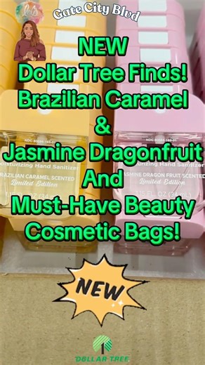 NEW Dollar Tree Finds! Brazilian Caramel /Jasmine Dragonfruit & Must-Have Beauty Bags! #dollartree