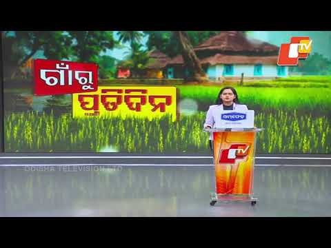 Illegal Quarry Blasting Deaths: 6 Arrested in Dhenkanal, Quarry Owner Still Absconding