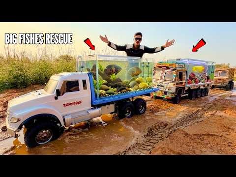 RC Fish Rescue Mission Saving From Evaporating Lake By Traxxas Trucks – Chatpat toy tv