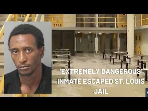 Alarms, door lock malfunctioned as ‘extremely dangerous’ inmate escaped city jail through ceiling
