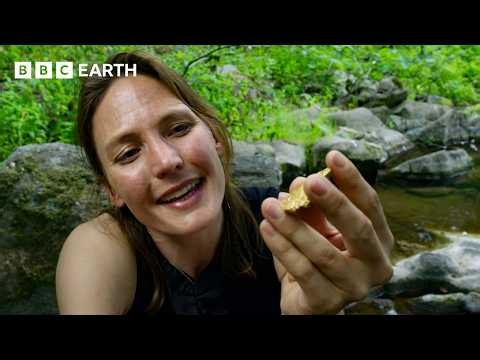 Gold’s Journey on Earth | BBC Earth Science
