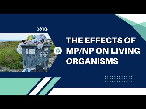 The Effects of Microplastics (MPs) and Nanoplastics (NPs) on Living Organisms