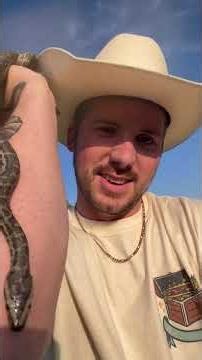 Wild hatching African rock pythons! #reptiles #africa #conservation #snake