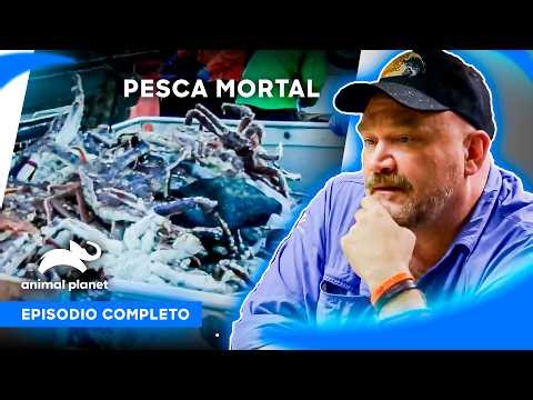 🔴 Episodio completo | Pesca Mortal - S11 Ep1 | Animal Planet Latinoamérica
