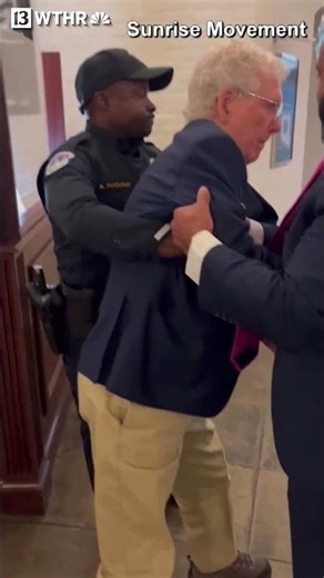 Sen. Mitch McConnell falls at U.S. Capitol