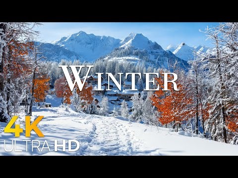 January Winter 4K ❄️ Gentle Snowfall, Frosted Woods & Quiet Moments in Frosty Morning Light