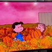 Vintage 1996 Peanuts Classic VHS | It’s the Great Pumpkin, Charlie Brown | Halloween Cartoon | Orange Clamshell Tape