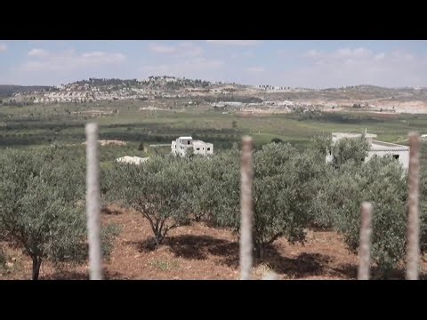 Violence by Israeli settlers surges with Iran War, human rights groups say