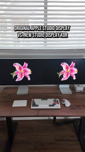 Apple Studio Display vs. New Studio Display XDR: Can you see the difference?