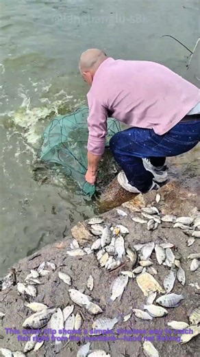 Hand Net Fishing for Small River Fish | Casual Outdoor Catch