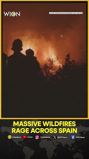 Spain Battles Massive Wildfires | Over 54,000 Hectares Scorched Across Country