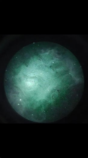 Lagoon Nebula (M8) is a star-forming emission nebula/Hydrogen II region in the Constellation Sagittarius seen through night vision. #fyp #sagittarius #astronomy