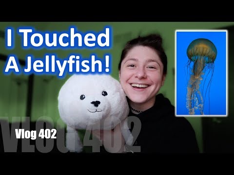 Ch.402: I Touched A Jellyfish...& I Liked It (At The National Aquarium)!!