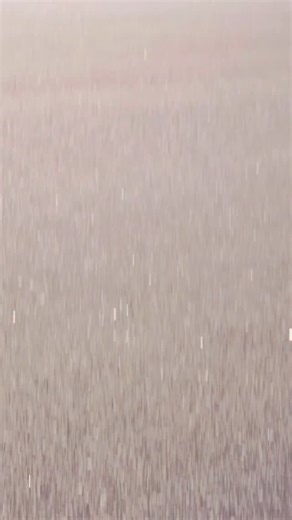 Florida State Men’s Basketball on Instagram: "24 hours out from rivalry night. #connected | @truist"