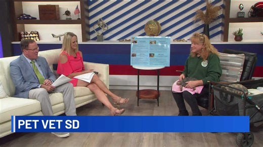 World Turtle Day | Pet Vet SD