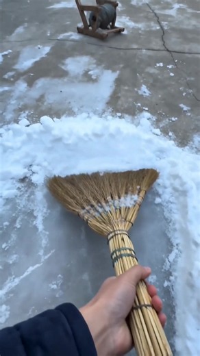 Guga flexed on my weak snow shoveling with his ultimate DIY gadget! So smug! 😎#Gugugaga #cute #funny #quin