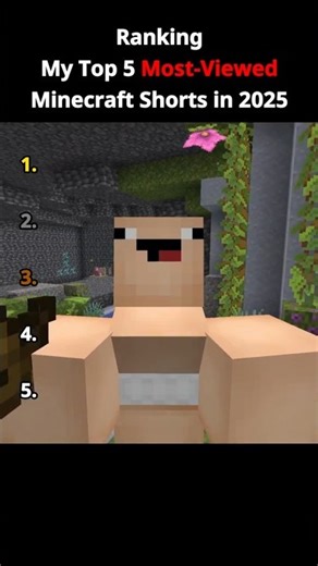 My TOP 5 Minecraft Meme in 2025