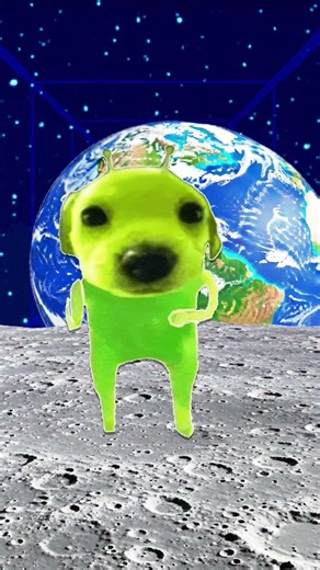 party at the beach #fypシ゚viral #funny #alien