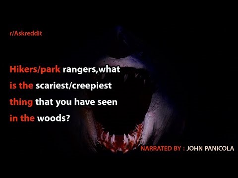 Hikers/park rangers, what is the scariest/creepiest thing that you have seen in the woods? [Serious]
