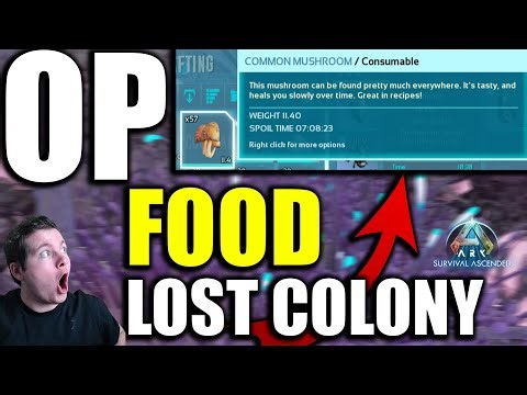 LOST COLONY: HIDDEN Food Source That Will Change Your Survival Experience - ARK SURVIVAL ASCENDED