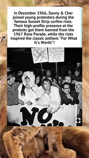 Sonny & Cher's 1966 Sunset Strip Riot! 🎸 #SonnyAndCher #Shorts #1960s