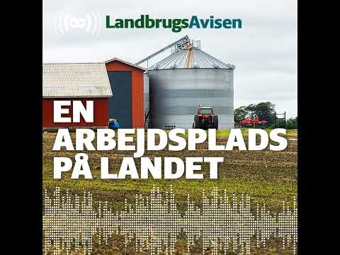 Lige på kornet høj