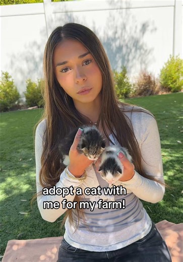 which cat should i adopt and bring back to florida? 🥹