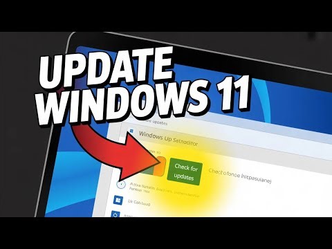 How to update Windows 11 - Step by Step