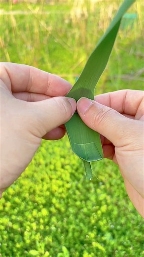 Simple DIY | Make a little boat out of a leaf!