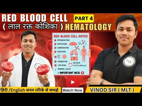 Rbc|Rbc Notes Hindi|Rbc Kya hota hai| Erythrocyte kya hota hai|Erythrocyte physiology|Rbc Physiology