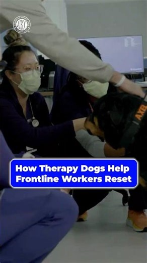 How therapy dogs help frontline workers reset
