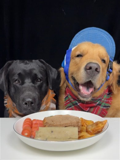 Dog ASMR: Golden Labrador Eating with Bonbon & Kiki