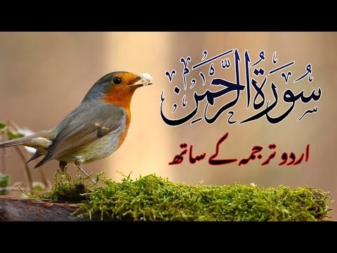 Surah Rahman with Urdu Translation | Beautiful Quran Tilawat by Qari Abdul Basit | سورۃ الرحمن | 65