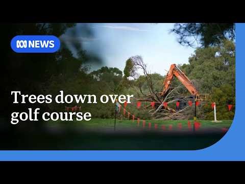 Trees razed as North Adelaide golf course redevelopment gets underway | ABC NEWS