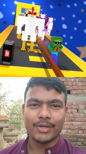 Minecraft Animals Try the Impossible Bridge Challenge! 😱🐔🐷