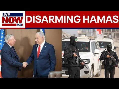 Sen. Lindsey Graham meets with PM Netanyahu