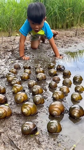 Survival Skills: SIMPLE and USEFUL #bushcraft​​​ #camping​​​ #outdoors