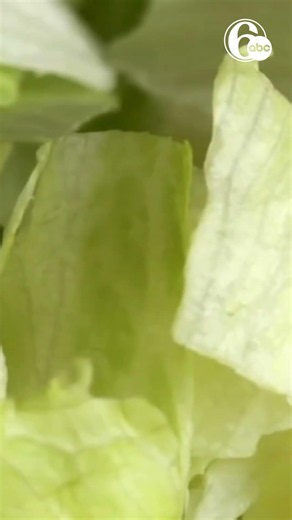 FDA receives false-positive result for parasite in lettuce amid cyclosporiasis outbreak