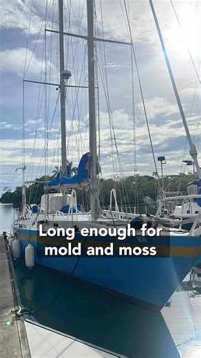 What Sellers Hope You Miss on Sailboats